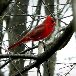 Meet your Posher, Jeannette